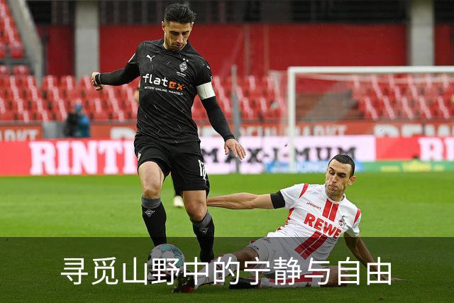 寻觅山野中的宁静与自由